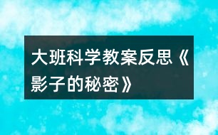 大班科學(xué)教案反思《影子的秘密》