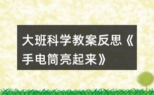 大班科學(xué)教案反思《手電筒亮起來(lái)》