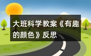 大班科學(xué)教案《有趣的顏色》反思