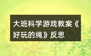 大班科學(xué)游戲教案《好玩的繩》反思