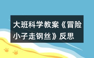 大班科學(xué)教案《冒險(xiǎn)小子走鋼絲》反思