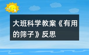 大班科學教案《有用的篩子》反思