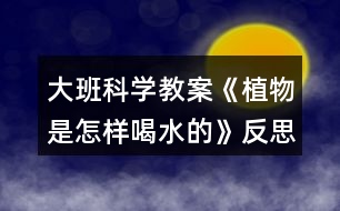 大班科學教案《植物是怎樣喝水的》反思