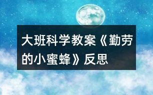 大班科學教案《勤勞的小蜜蜂》反思