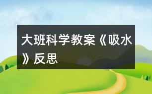 大班科學教案《吸水》反思