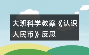 大班科學教案《認識人民幣》反思