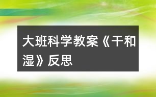 大班科學(xué)教案《干和濕》反思