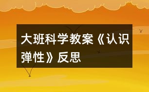 大班科學教案《認識彈性》反思