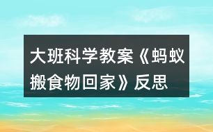 大班科學(xué)教案《螞蟻搬食物回家》反思