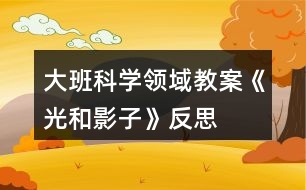 大班科學領域教案《光和影子》反思