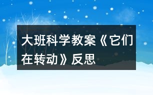 大班科學(xué)教案《它們?cè)谵D(zhuǎn)動(dòng)》反思