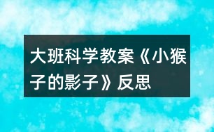 大班科學(xué)教案《小猴子的影子》反思