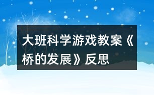 大班科學(xué)游戲教案《橋的發(fā)展》反思