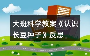 大班科學教案《認識長豆種子》反思