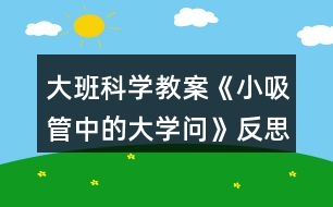 大班科學(xué)教案《小吸管中的大學(xué)問》反思