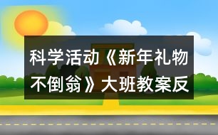 科學(xué)活動(dòng)《新年禮物不倒翁》大班教案反思