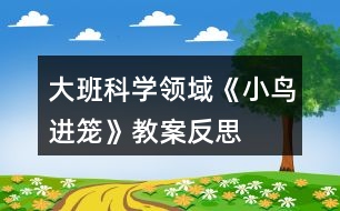 大班科學(xué)領(lǐng)域《小鳥進(jìn)籠》教案反思