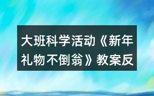 大班科學(xué)活動《新年禮物不倒翁》教案反思