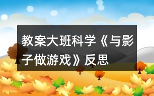 教案大班科學《與影子做游戲》反思