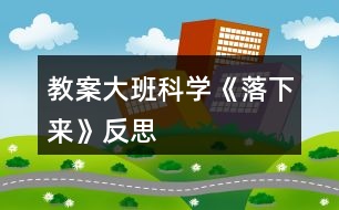 教案大班科學《落下來》反思