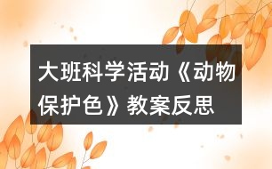 大班科學活動《動物保護色》教案反思