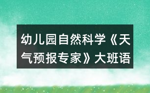 幼兒園自然科學(xué)《天氣預(yù)報專家》大班語言教案反思