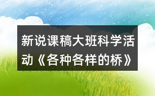 新說課稿大班科學活動《各種各樣的橋》教案反思