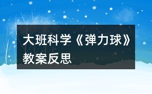 大班科學(xué)《彈力球》教案反思