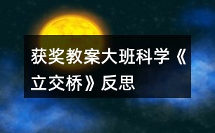 獲獎教案大班科學《立交橋》反思