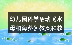 幼兒園科學(xué)活動《水母和?？方贪负徒虒W(xué)反思