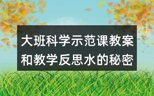 大班科學(xué)示范課教案和教學(xué)反思水的秘密