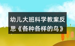 幼兒大班科學(xué)教案反思《各種各樣的鳥》