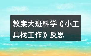 教案大班科學《小工具找工作》反思