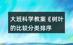 大班科學教案《樹葉的比較、分類、排序》反思