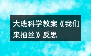 大班科學教案《我們來抽絲》反思