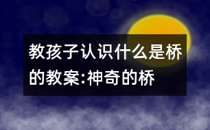 教孩子認識什么是橋的教案:神奇的橋