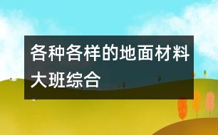 各種各樣的地面材料（大班綜合）