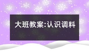 大班教案:認(rèn)識調(diào)料