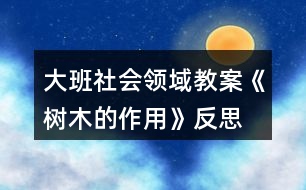 大班社會領(lǐng)域教案《樹木的作用》反思