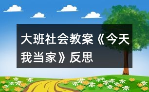 大班社會教案《今天我當(dāng)家》反思