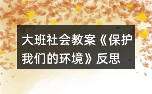 大班社會教案《保護(hù)我們的環(huán)境》反思