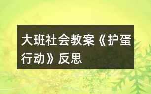 大班社會教案《護(hù)蛋行動》反思