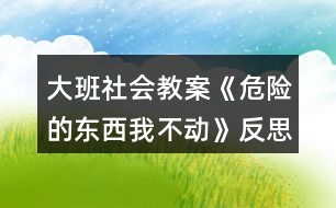 大班社會教案《危險的東西我不動》反思