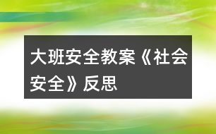 大班安全教案《社會安全》反思