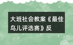 大班社會教案《“最佳鳥兒”評選賽》反思