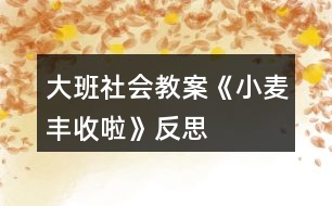 大班社會教案《小麥豐收啦》反思