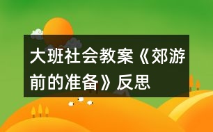 大班社會教案《郊游前的準(zhǔn)備》反思