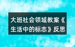 大班社會(huì)領(lǐng)域教案《生活中的標(biāo)志》反思