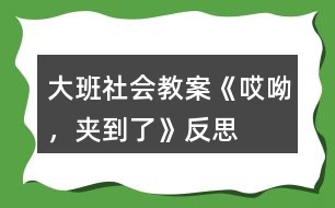 大班社會(huì)教案《哎呦，夾到了》反思