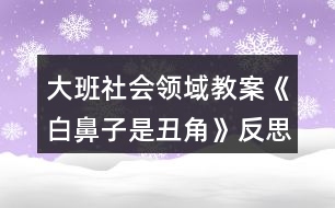 大班社會領(lǐng)域教案《白鼻子是丑角》反思